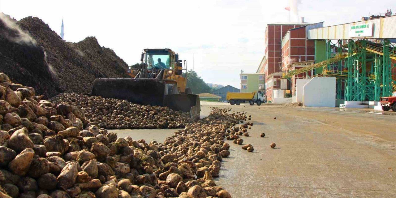 Amasya Şeker Fabrikası’nda 70. pancar alım kampanyası başladı