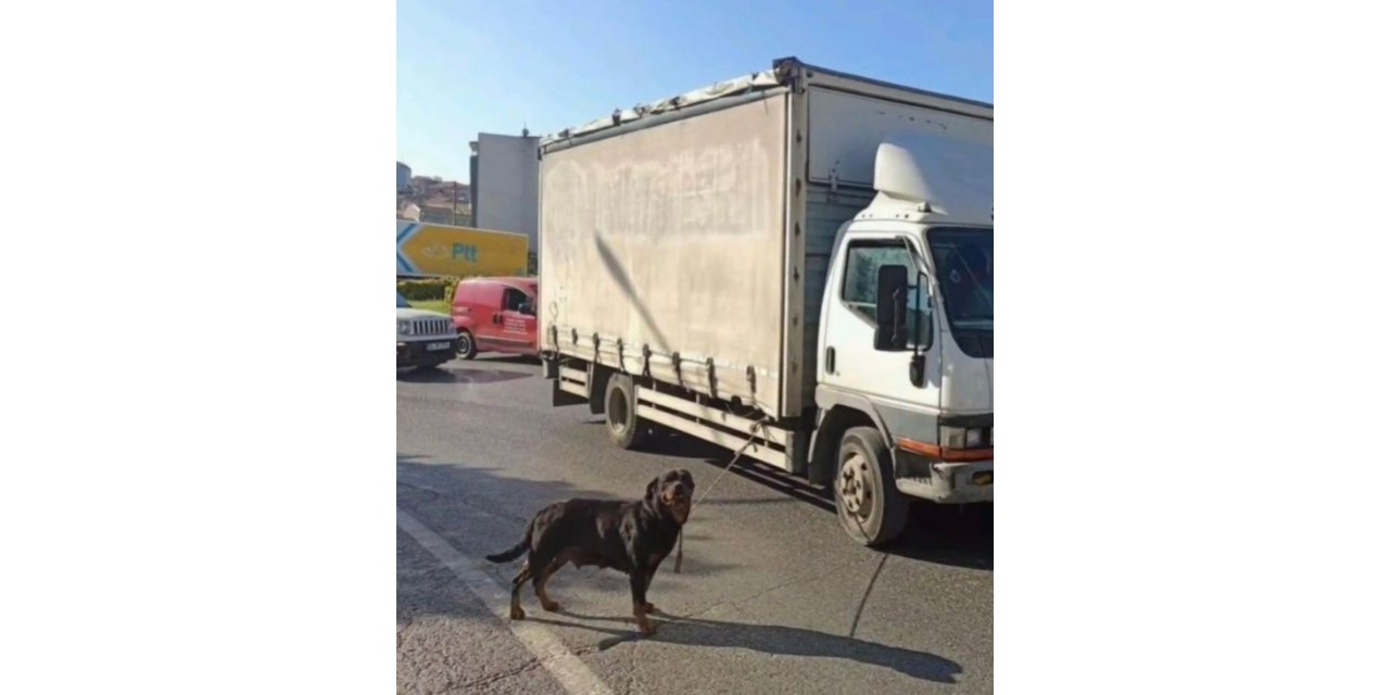 Bağcılar’da köpeği kamyonete iple bağlayan sürücüye para cezası