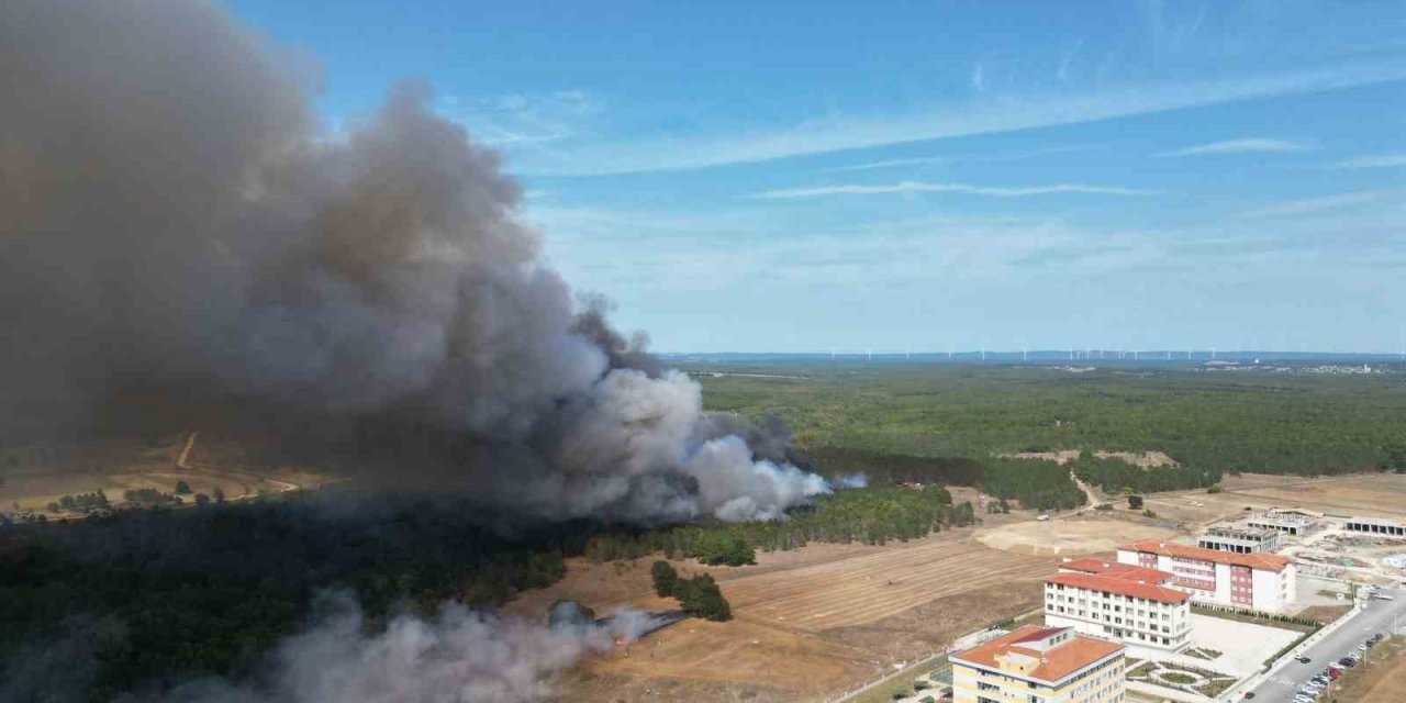 Orman yangını dron ile görüntülendi