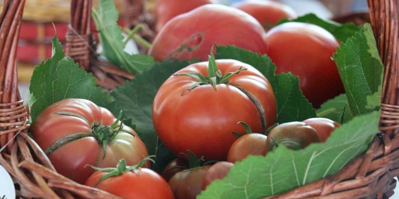 En lezzetli domatesi ve höşmerimi seçtiler
