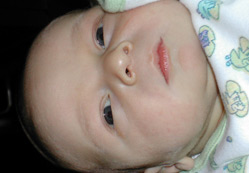 Toz mamaları sürekli kullanmayın