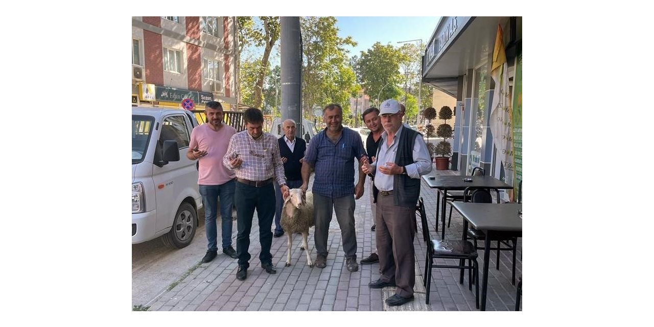 Servisçiler dualar edip kurban keserek sezona başladı