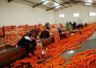 Kalaycı: Kendi markamızla satmalıyız