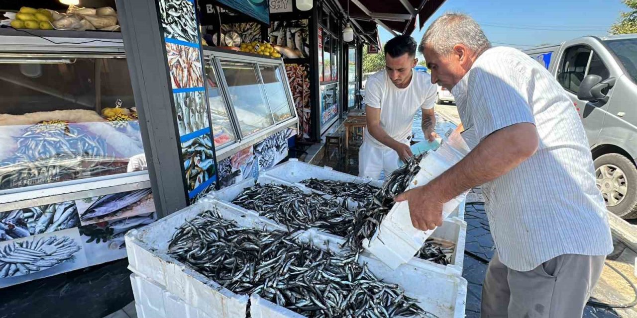 Düzce’de hamsi fiyatı 20 liraya kadar düştü