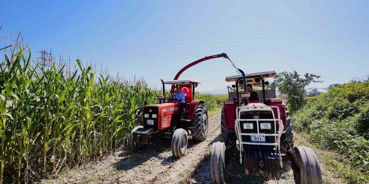 Silajlık mısır hasadı Tarla Günü ile kutlandı