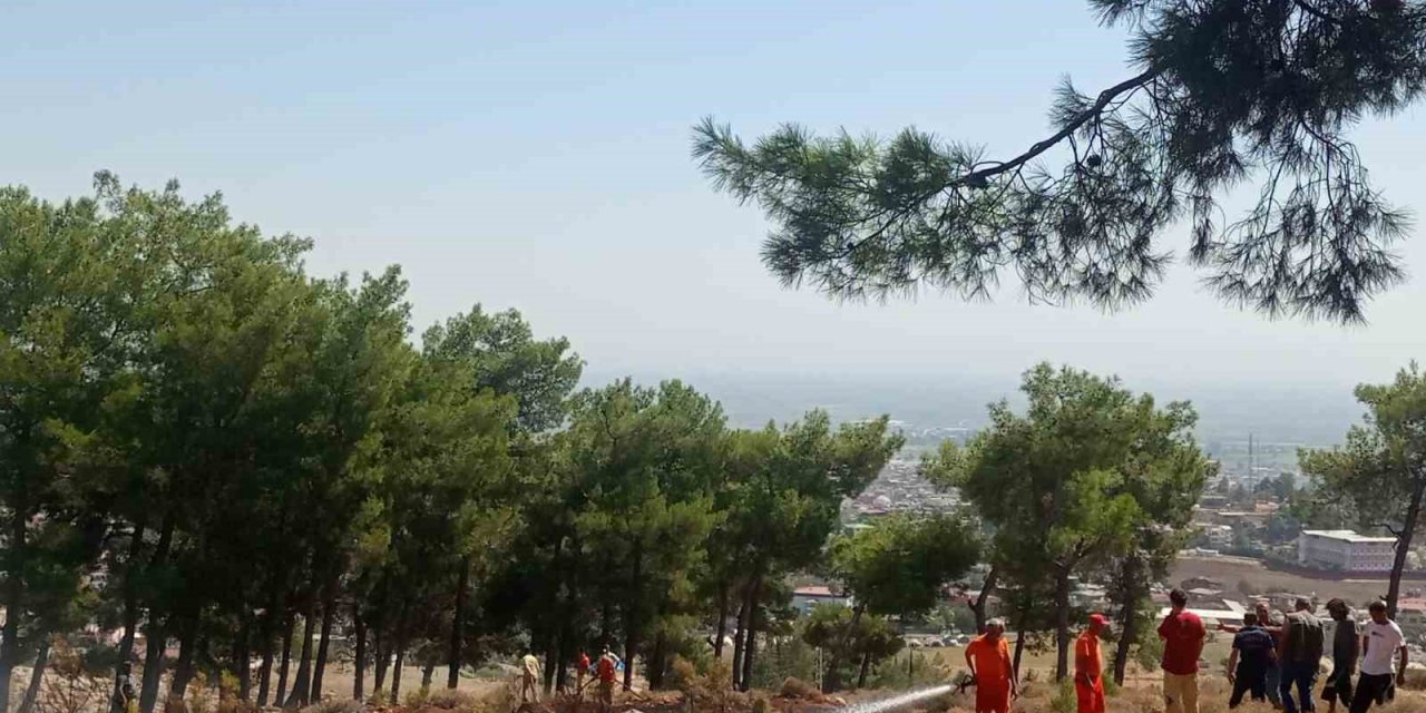 Hatay’da ormanlık alanda örtü yangını