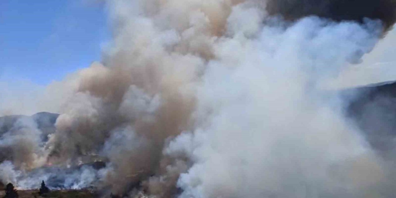 Bolu’daki orman yangınına 18 helikopter, 2 uçak ve 42 arazözle müdahale sürüyor