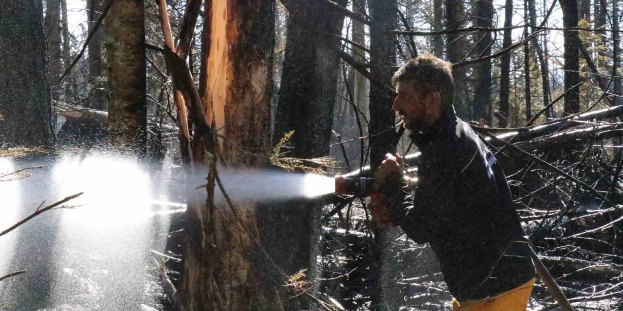 Bolu-Ankara sınırında çıkan orman yangını kontrol altına alındı
