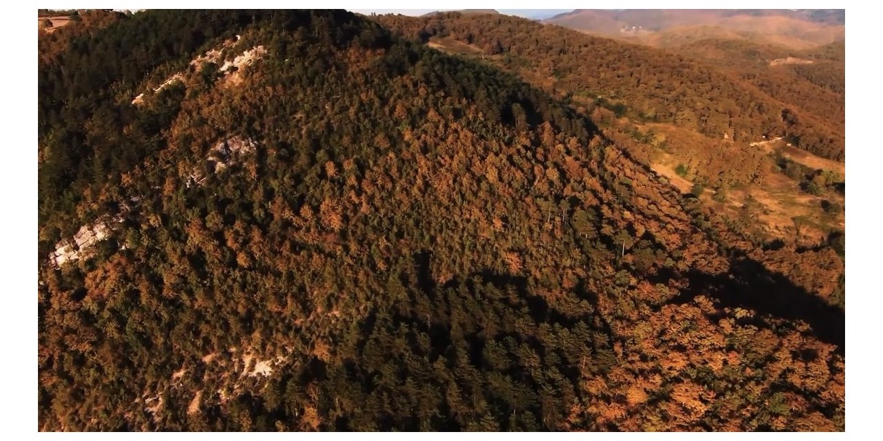 Zonguldak’ta eşsiz sonbahar manzarası