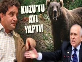 Türköne'den AKP'li vekile ağır benzetme