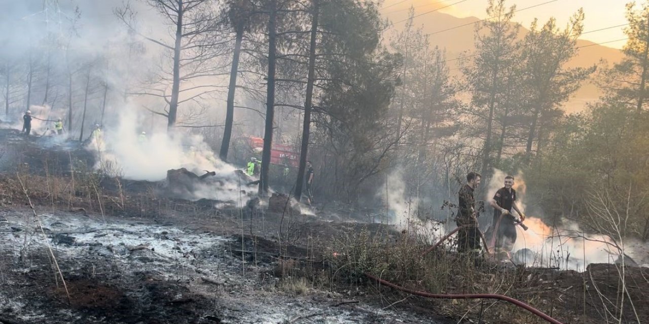 Bursa’daki orman yangını kontrol altına alındı