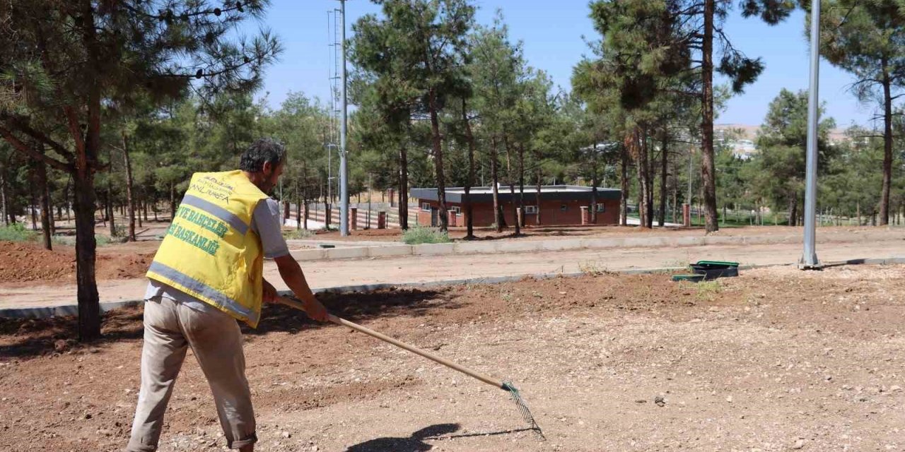 Şanlıurfa’da yeşil alanlar artıyor