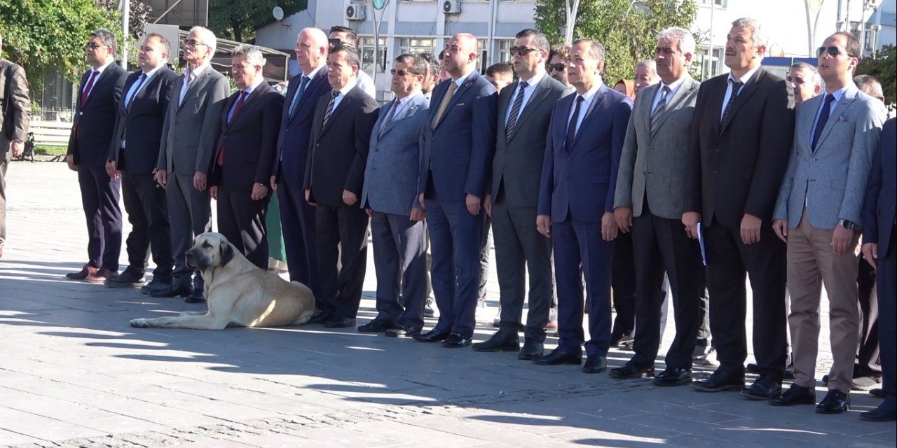 Tören alanında davetsiz misafir şoku