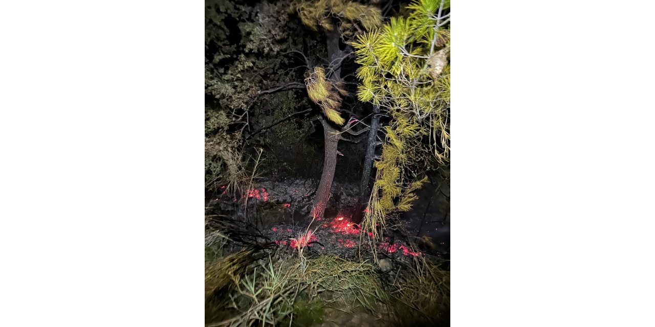 Gazipaşa’da, zamanında müdahale orman yangınını önledi