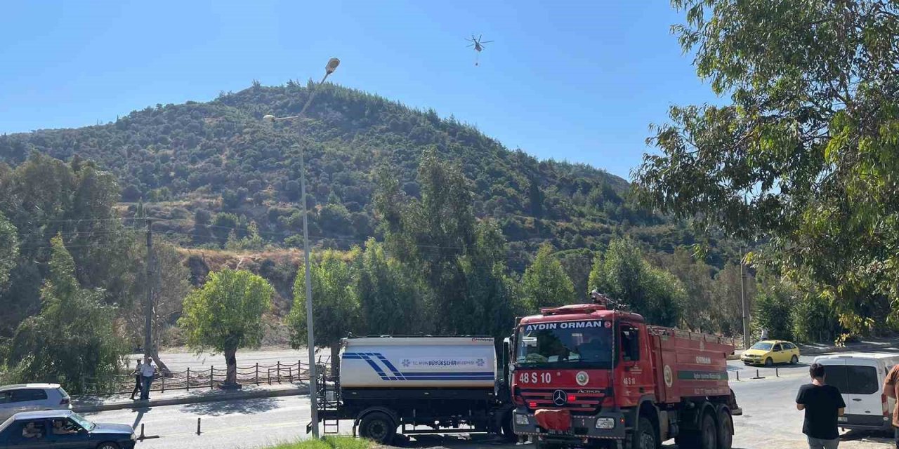 Söke’de otluk alanda çıkan başlayan yangın ormanlık alana sıçradı