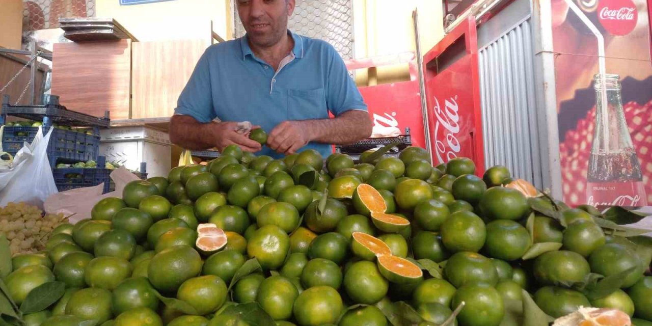 Mandalina Aydın’daki semt pazarındaki tezgahlarda yerini aldı