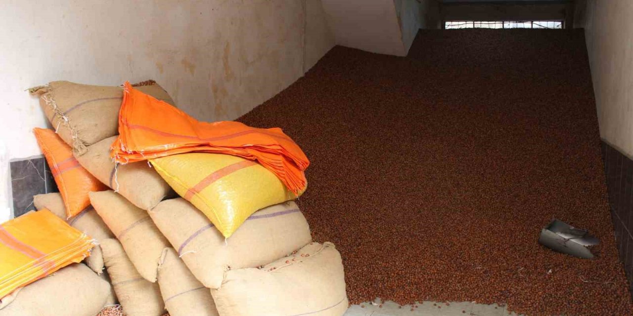 Serbest piyasada fındık 100 TL’ye ulaştı