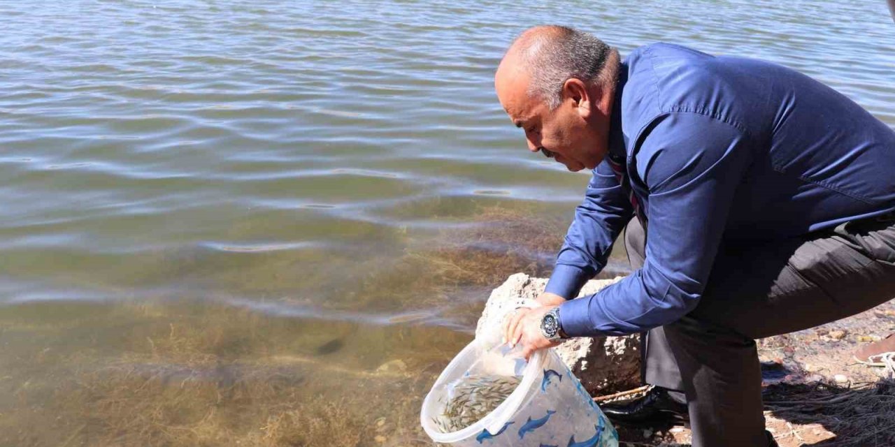 Sivas’ta 1 milyon adet yavru balık göllere bırakıldı
