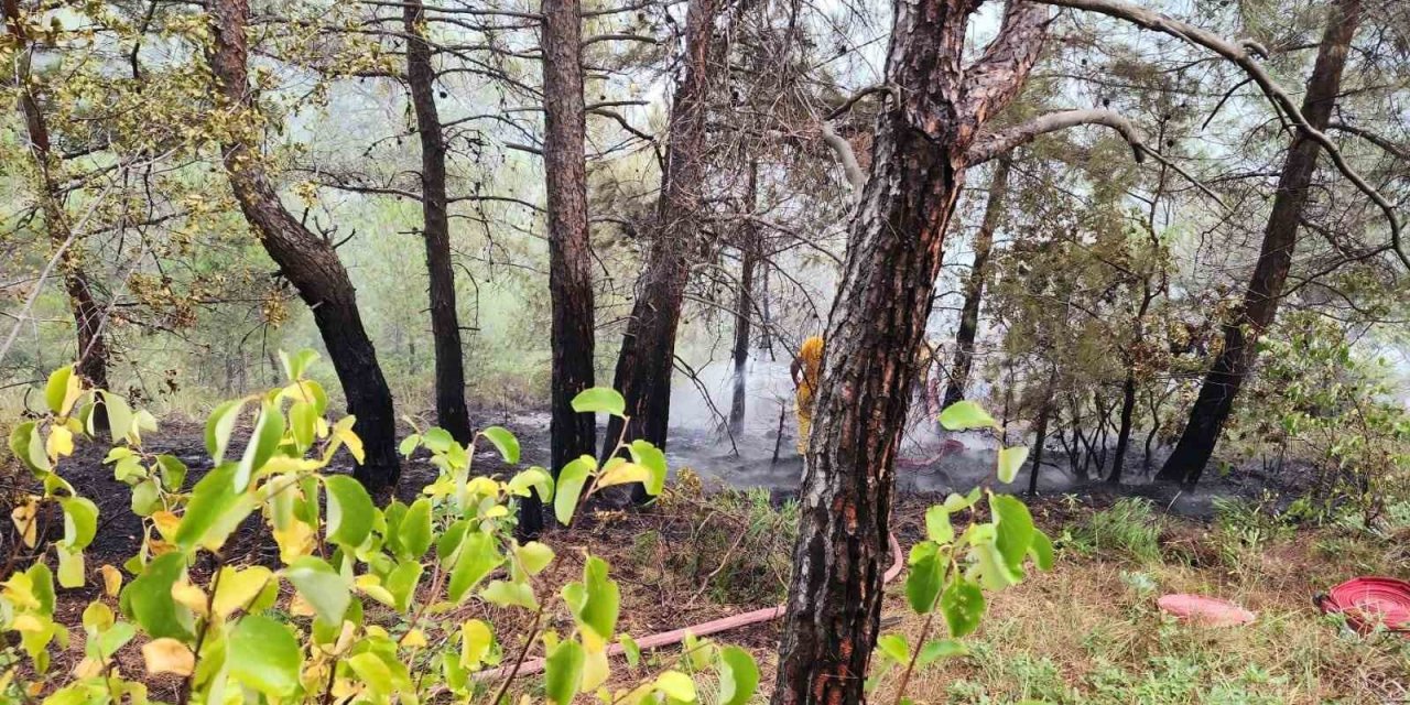 Hatay’da çıkan orman yangını kontrol altına alındı