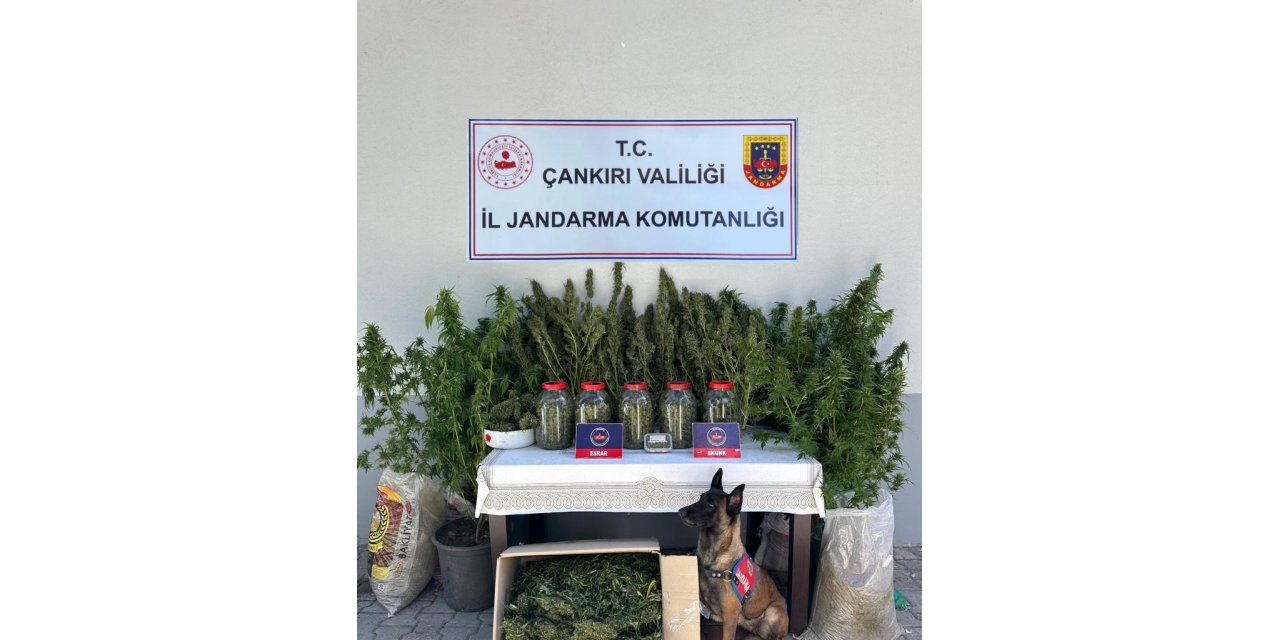 Çankırı’da uyuşturucu operasyonu: 1 gözaltı