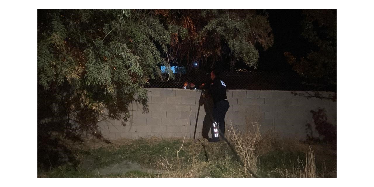 Bahçede çıkan yangın söndürüldü