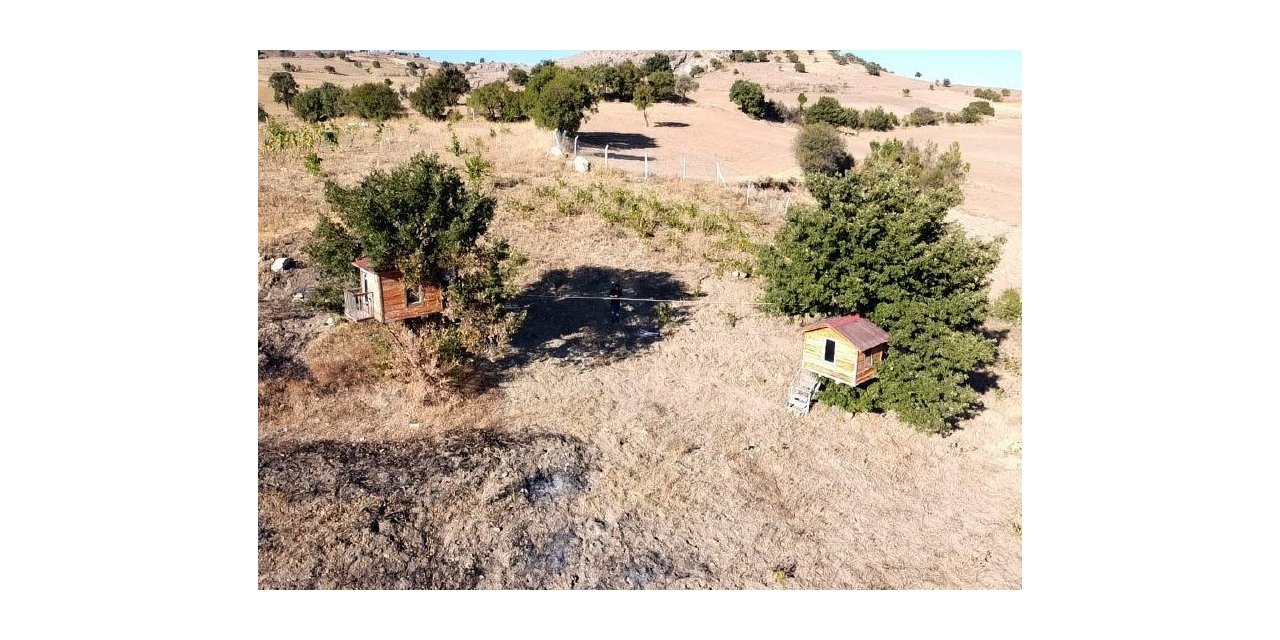 Karadeniz değil Yozgat: Meşe ağacının üzerine yaptığı evler dikkat çekiyor