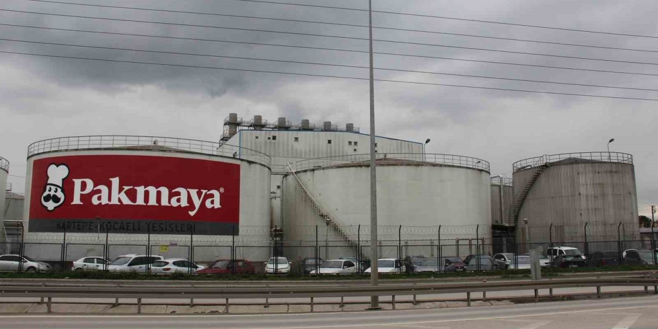 Maya kokusuna acil çözüm bekleniyor