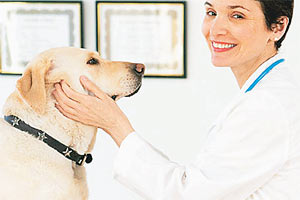 Kanseri koklayarak buluyorlar