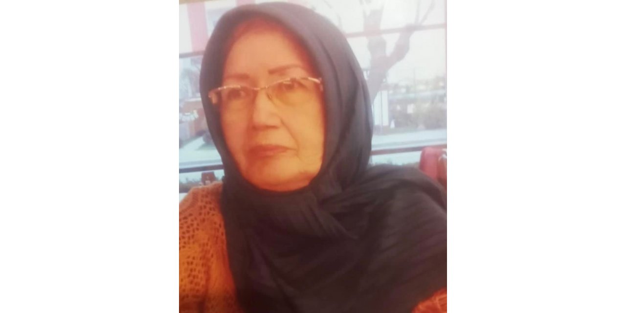 Kamyonetin çarptığı 73 yaşındaki kadın hayatını kaybetti