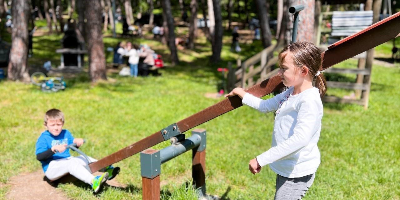 İl Ormanı yaz döneminde 100 bin kişiyi ağırladı