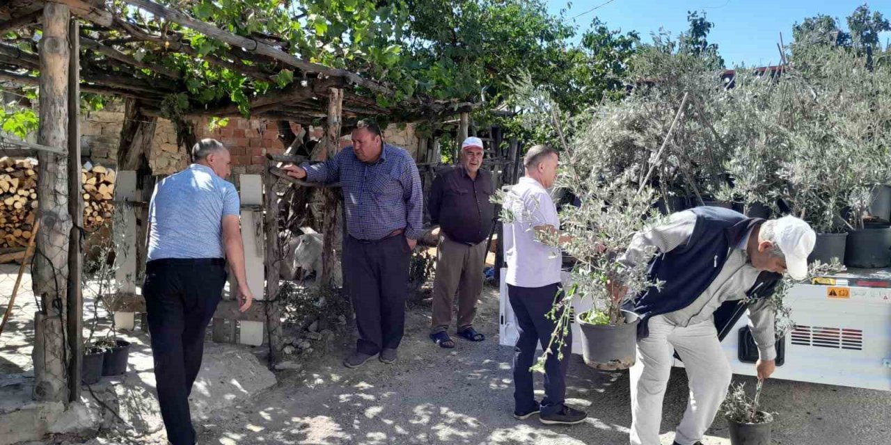 Edremit’ten, Çanakkale yangınında etkilenen köylere 250 zeytin fidanı gönderildi