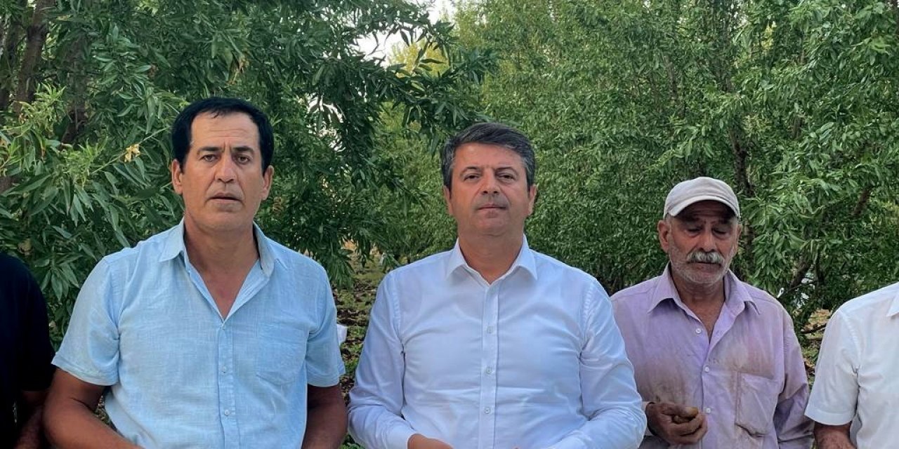 Milletvekili Tutdere, badem fiyatlarına tepki gösterdi