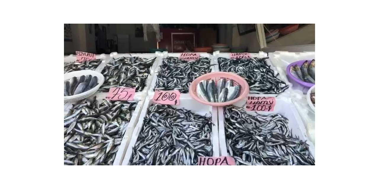 Sezonun ilk yerli hamsisi 100 TL’den tezgahtaki yerini aldı