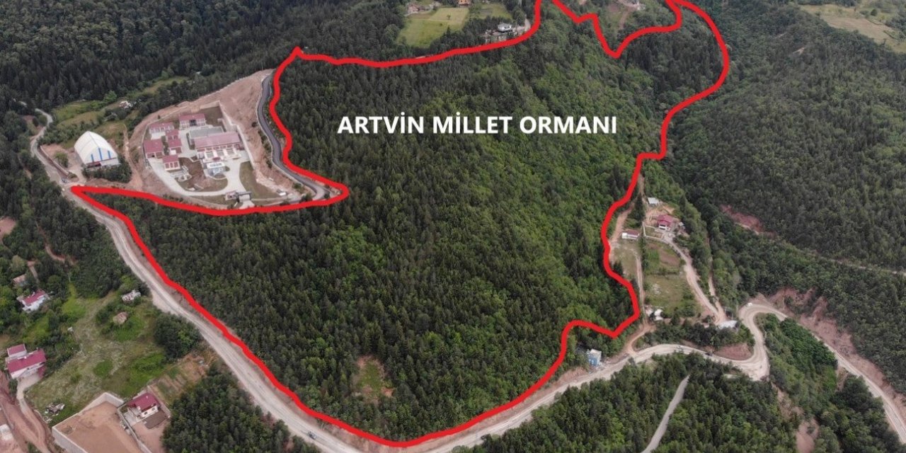 Artvin’e 10 Hektarlık alanda Millet Ormanı oluşturulacak