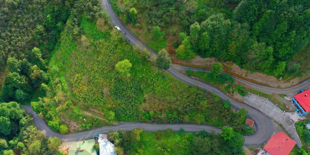 Ordu Büyükşehir Belediyesi, asfalt yol çalışmalarını sürdürüyor
