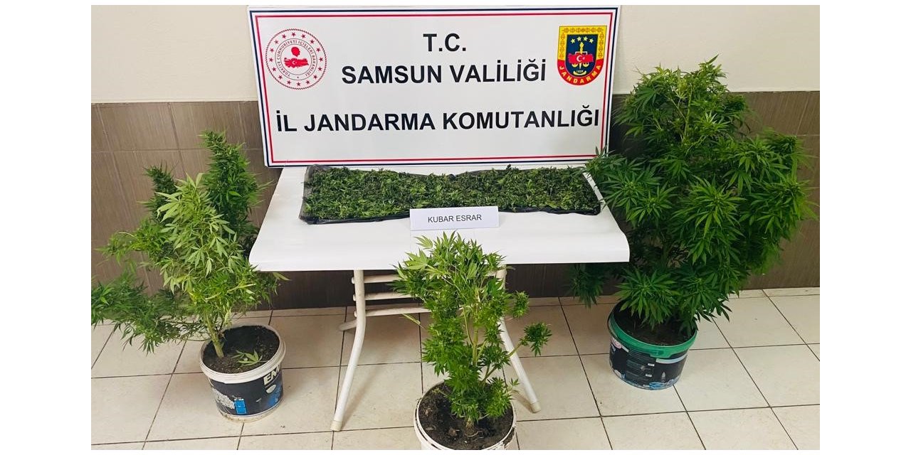 Çarşamba’da uyuşturucu operasyonu: 1 tutuklama