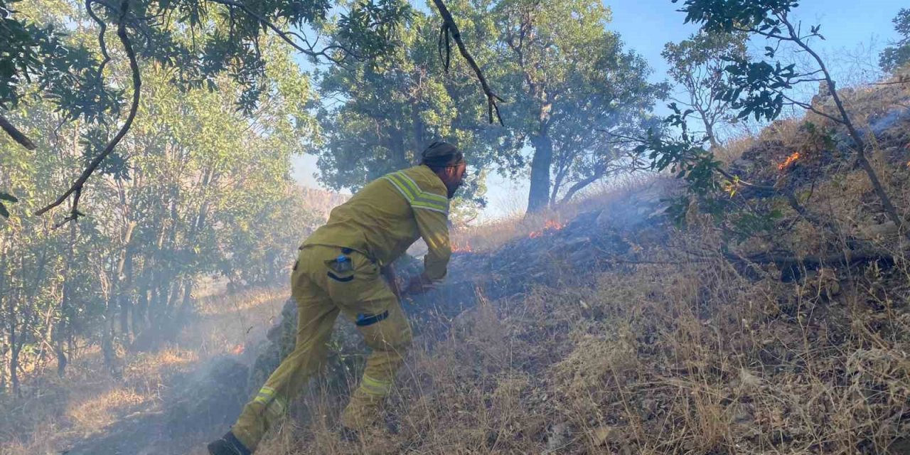 Cudi Dağı’nda çıkan yangın 7 saat sonra kontrol altına alındı