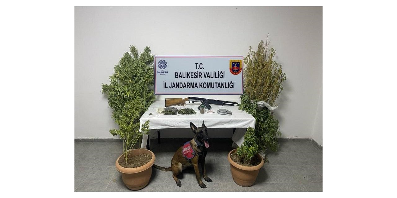 Ayvalık’ta bir kilogram uyuşturucu madde ele geçirildi