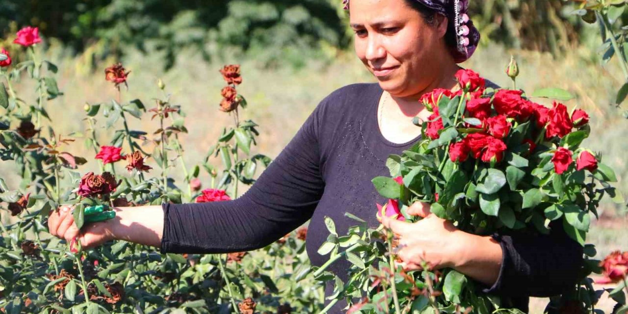 Bu sera hem işsiz kadınları istihdam ediyor hem de çocukların yüzünü güldürüyor