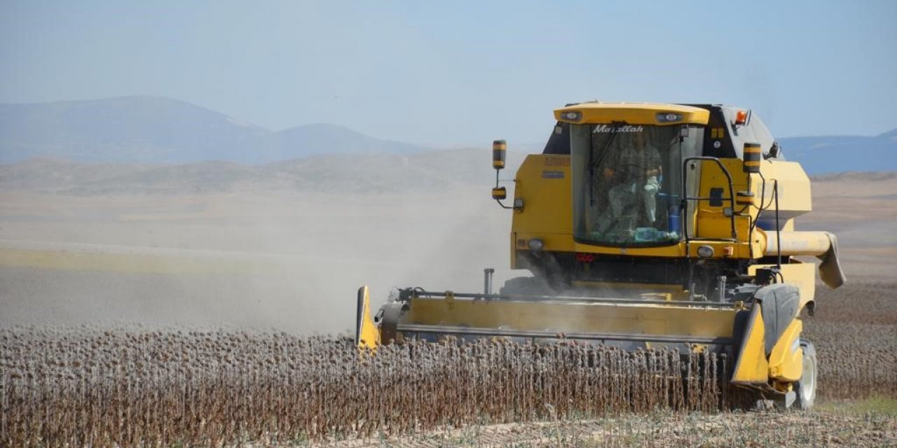 Beylikova’da 4 milyon metrekare tarım arazisinde hasat başladı