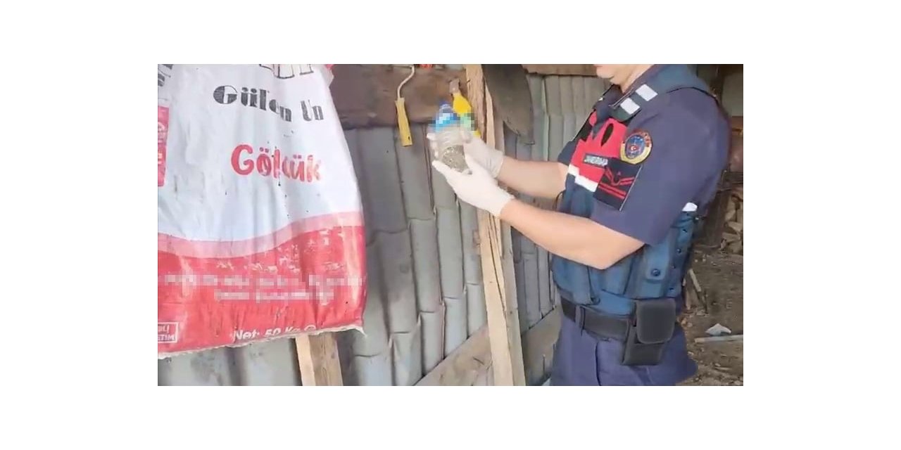 5 ilçede uyuşturucu operasyonu: 5 gözaltı