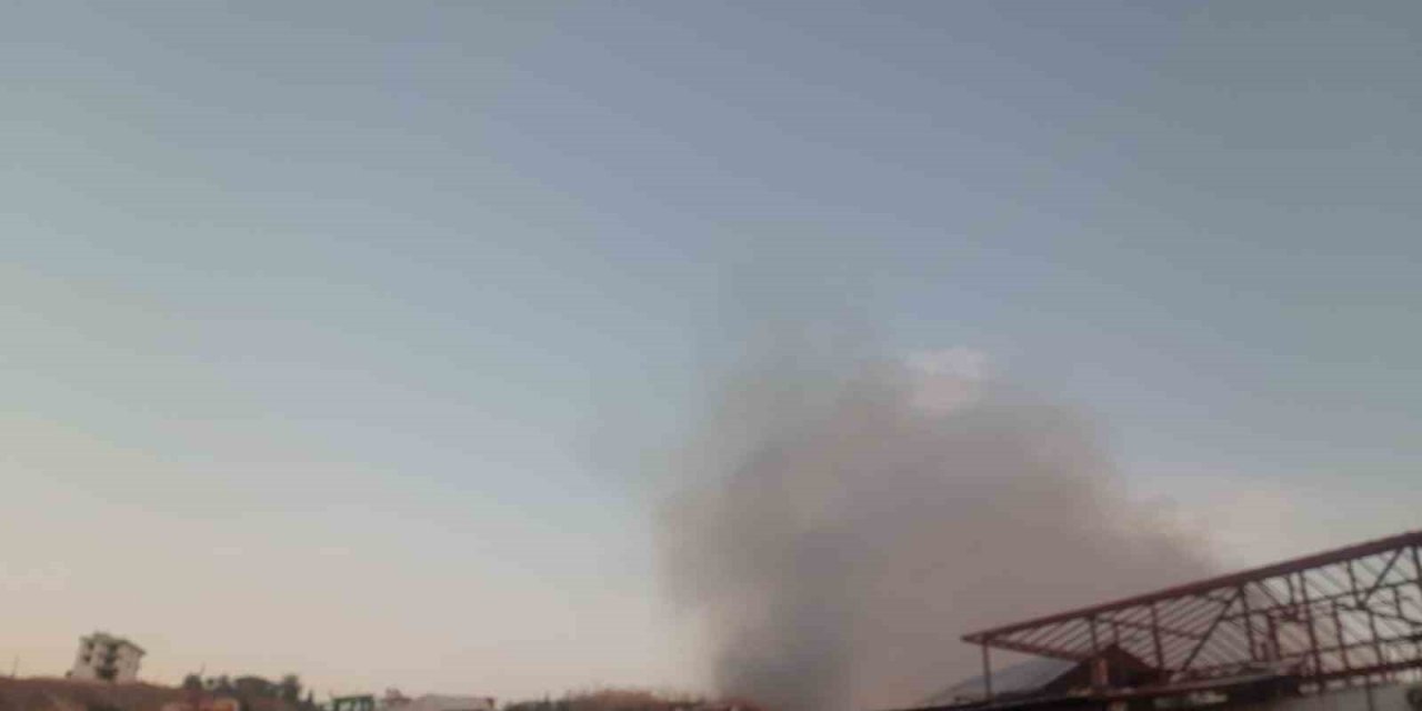 Çiftlikteki samanlar alev alev yandı, çok sayıda hayvan son anda kurtarıldı