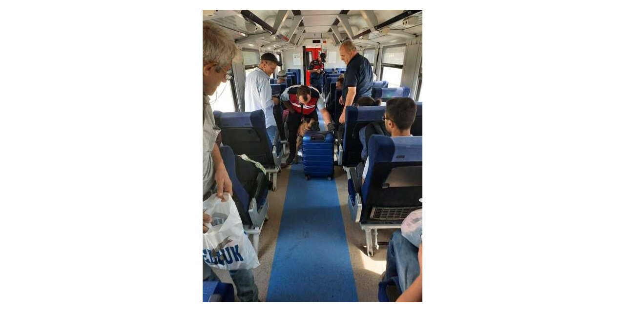 Tren vagonları tek tek arandı