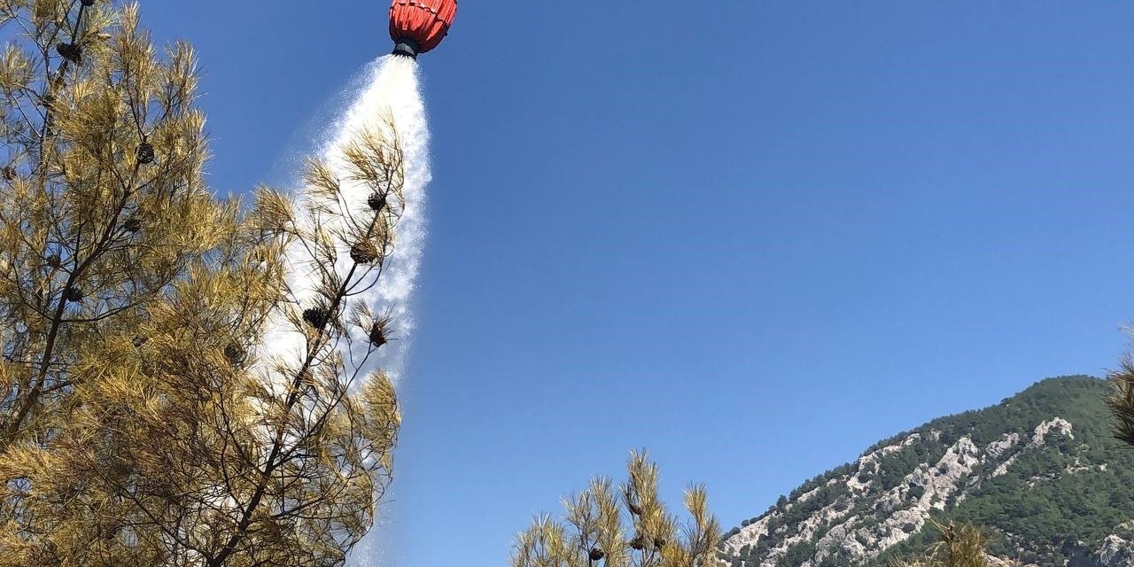 Adana’da orman yangını söndürüldü