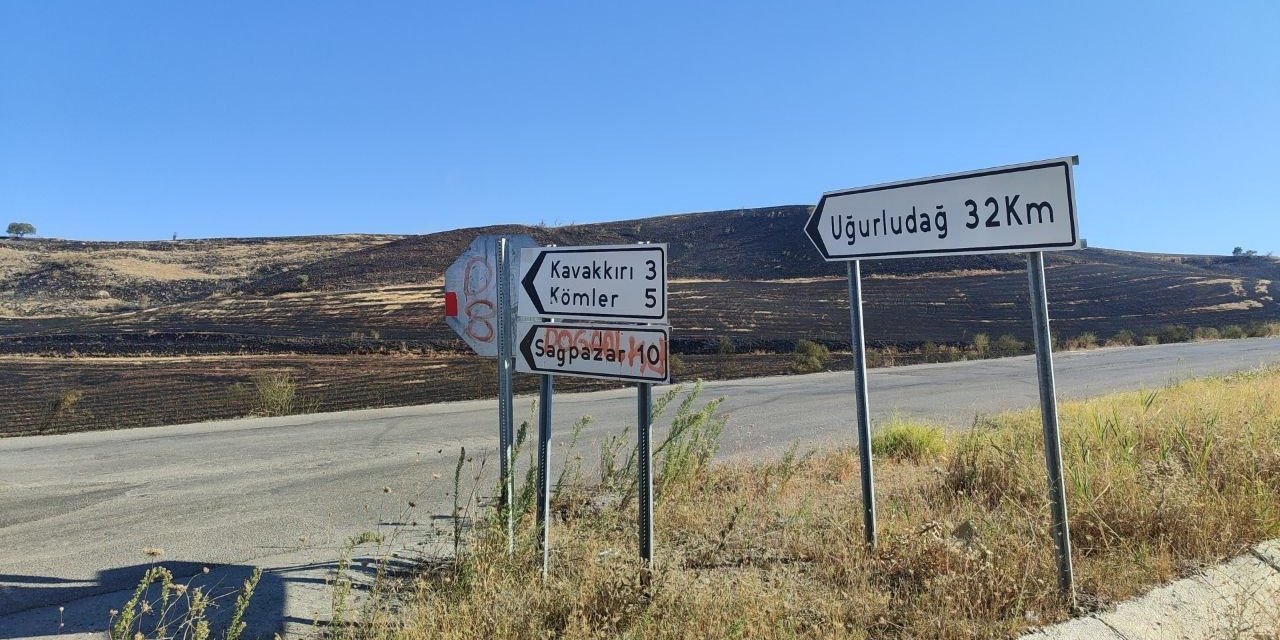 Bayatta korkutan anız yangını