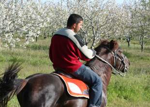 Beyşehir gölü çevresinde atlı safari turu