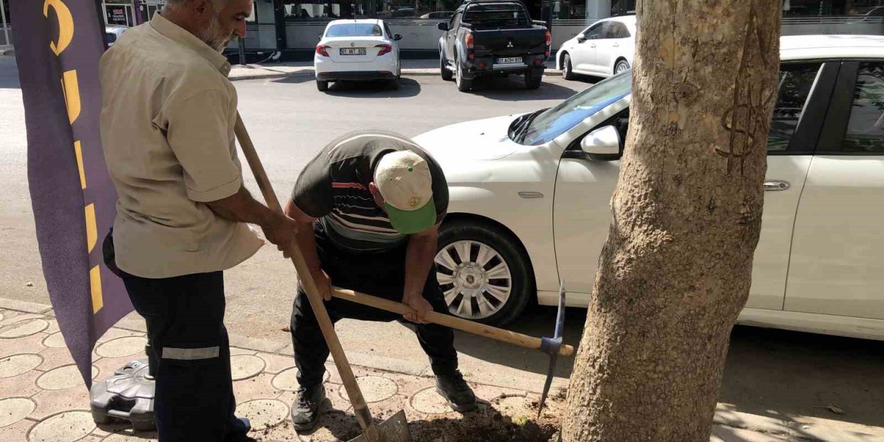 Begonviller ile Kozan daha güzel