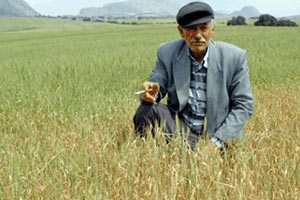 Çiftçiye müjdeli haber geldi