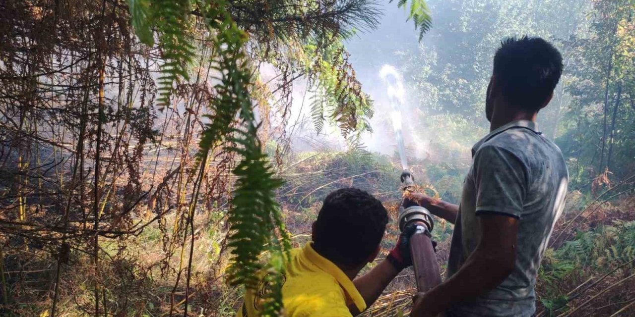 Kastamonu’daki orman yangını büyümeden söndürüldü