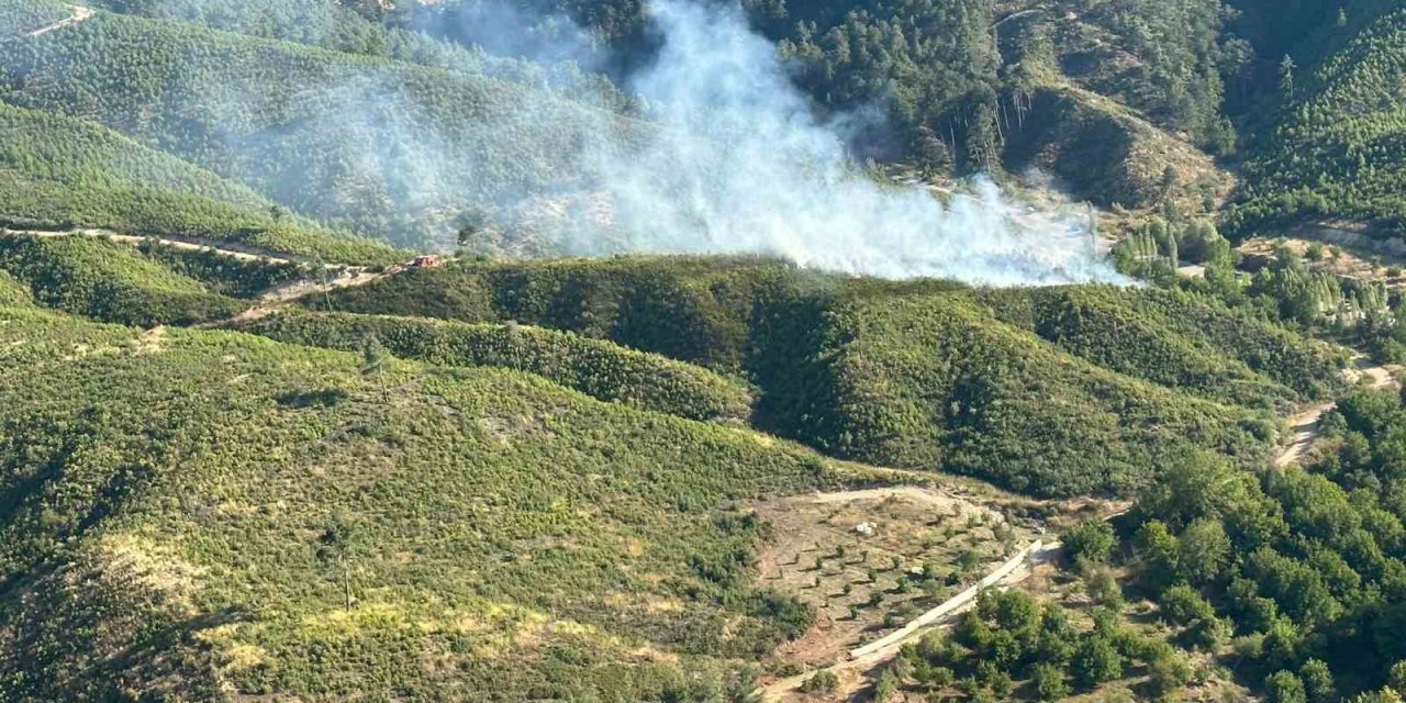 Honaz’da orman yangını